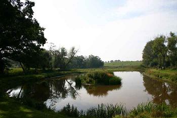 Fishery Image