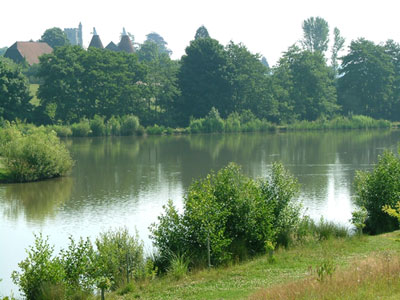 Fishery Image