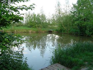 Fishery Image
