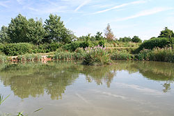 Fishery Image