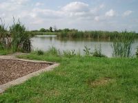 Fishery Image