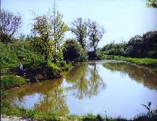 Fishery Image
