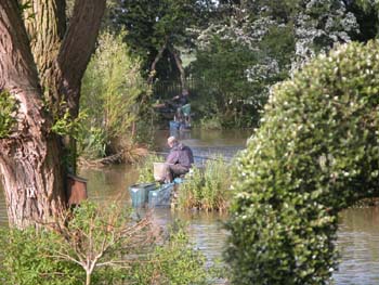 Fishery Image