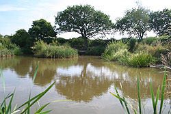 Fishery Image