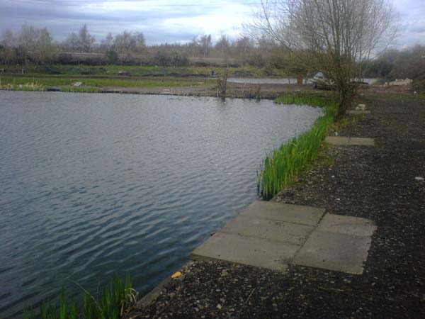 Fishery Image