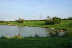 Fishery Image