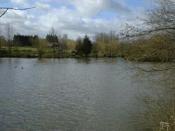 Fishery Image